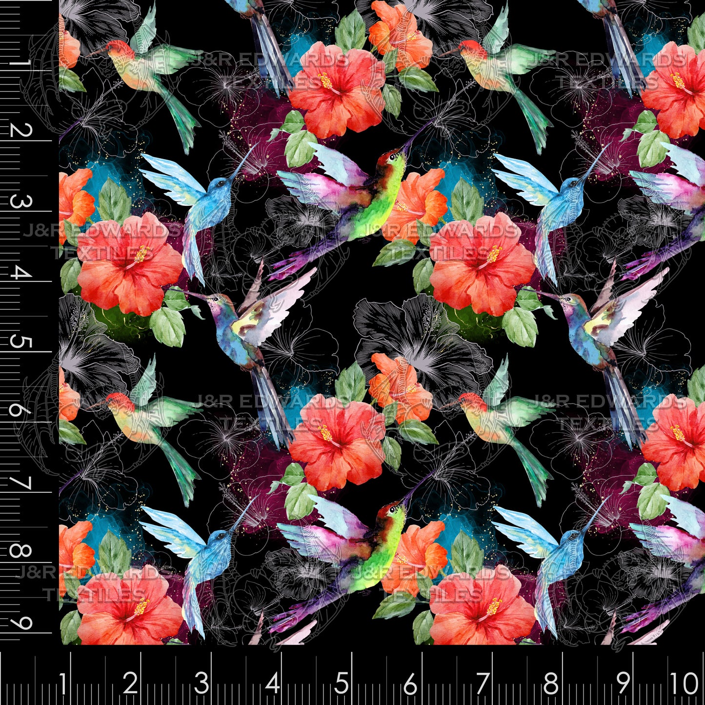 Hummingbird Paradise