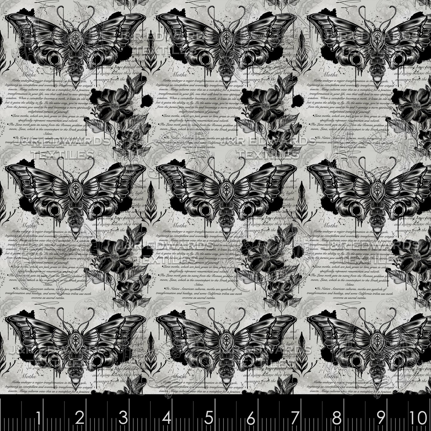 Memento Moth