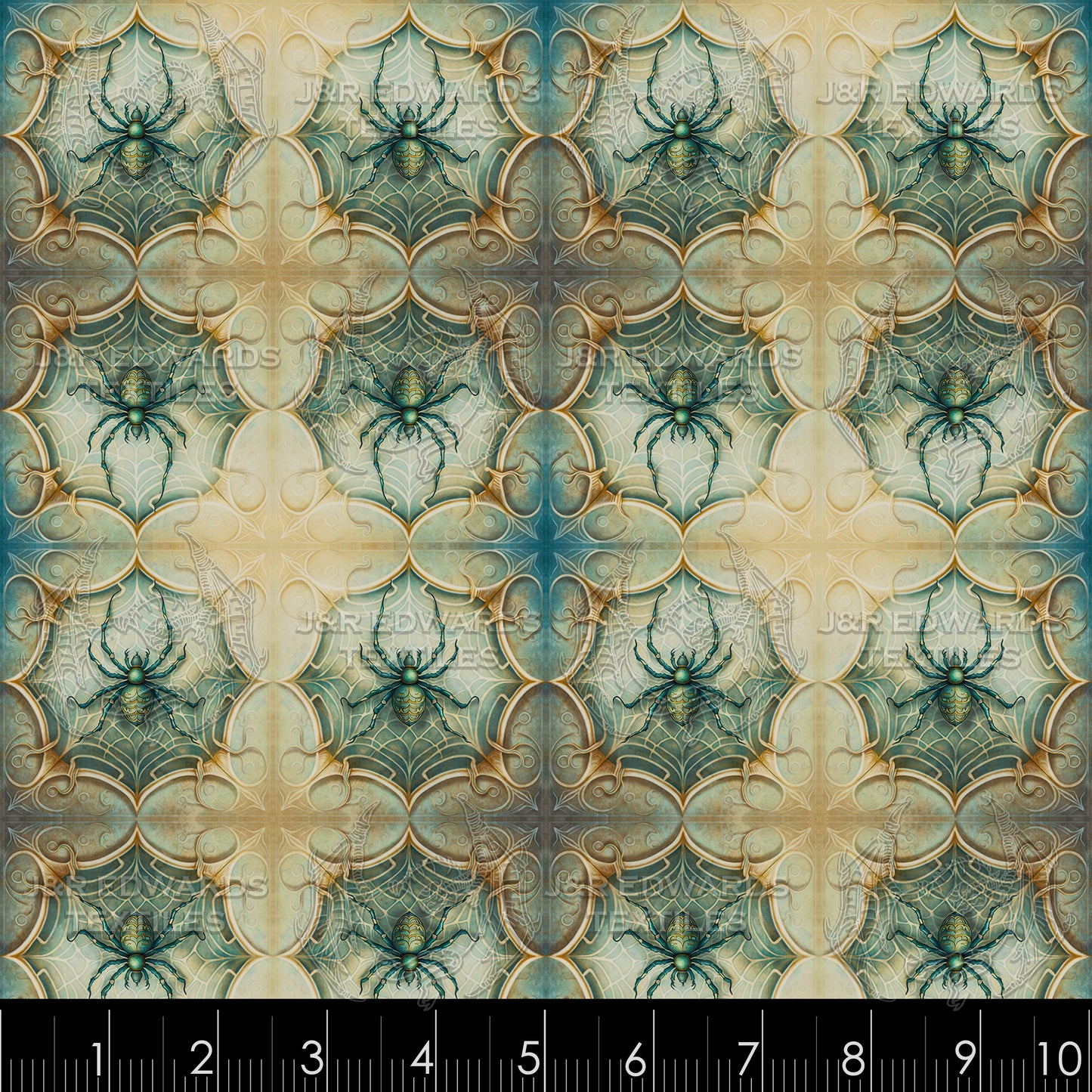 Snapshot of a Spider