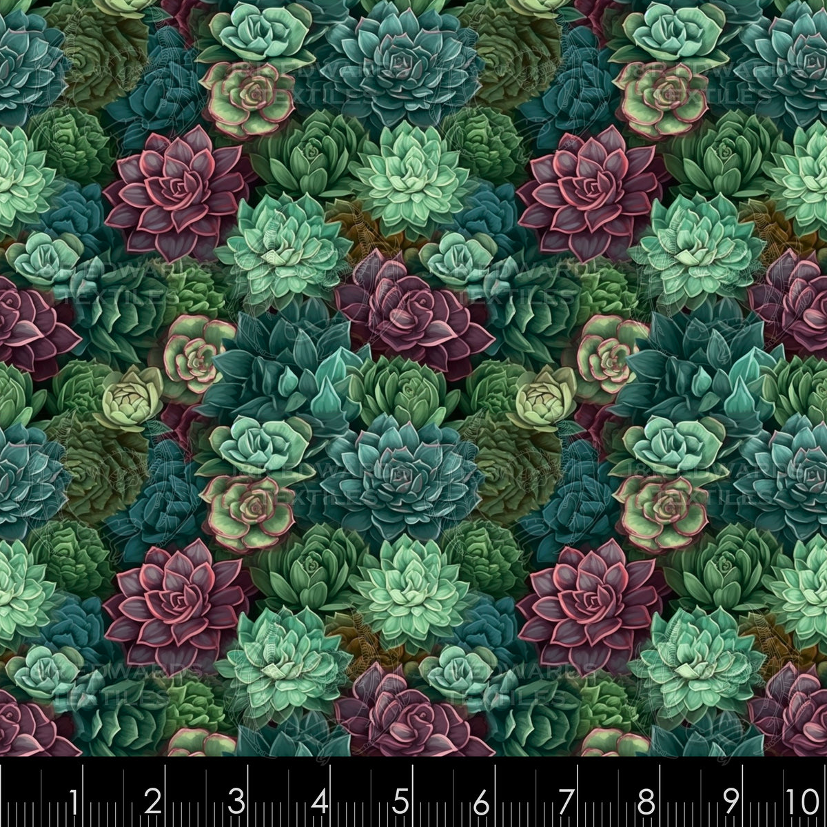 Succulent