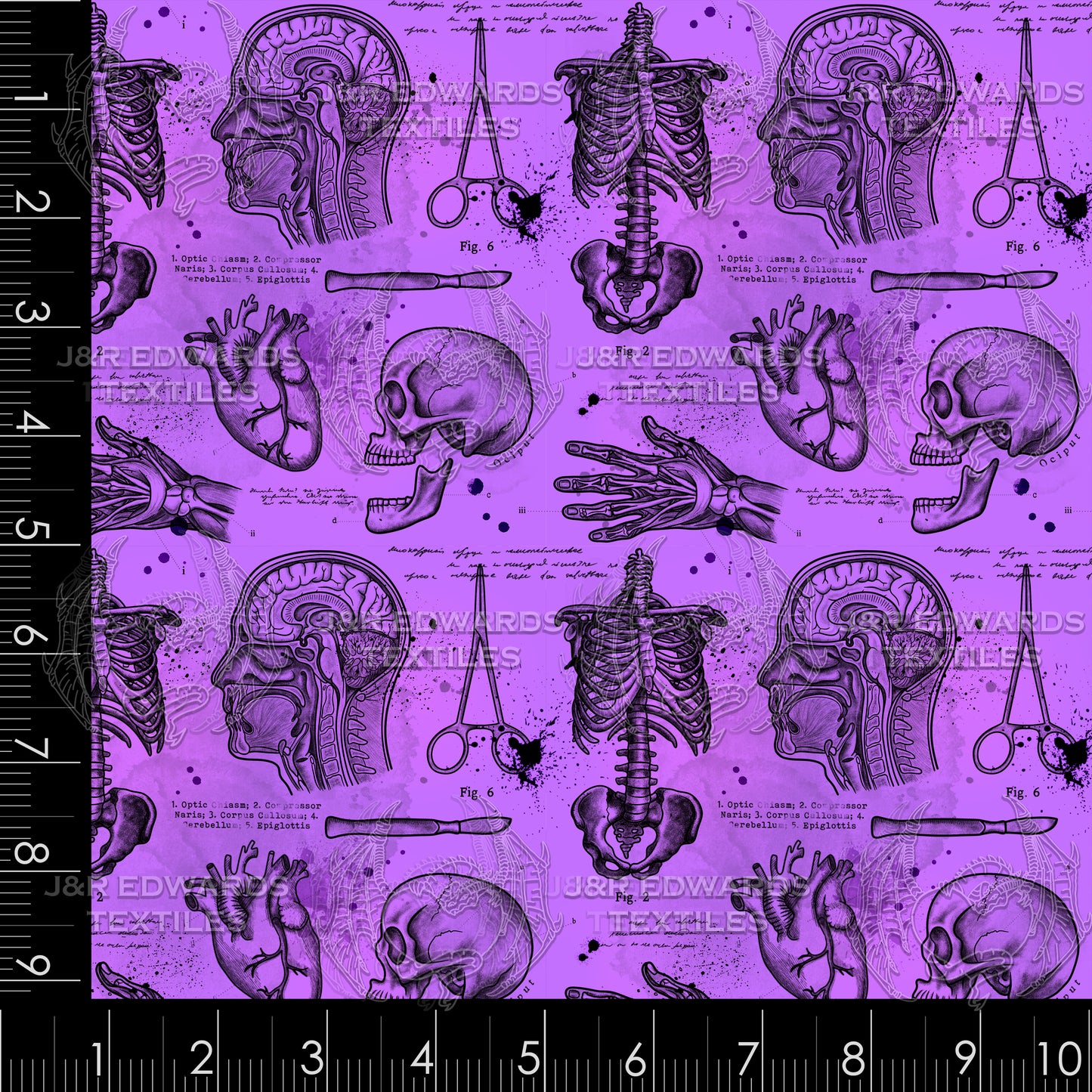 Bone Collector