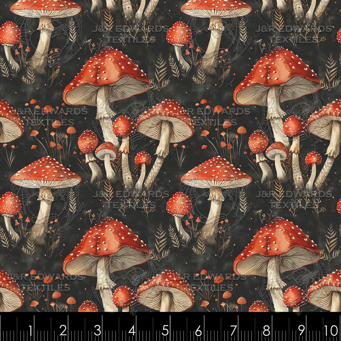 Fungi Family