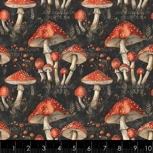 Fungi Family