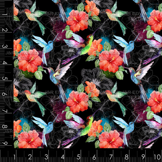 Hummingbird Paradise