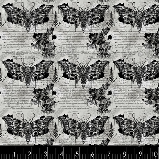 Memento Moth