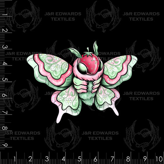 Panel Berry Moth