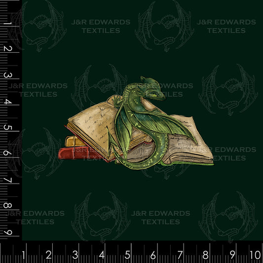 Panel Literary Dragons Earth One