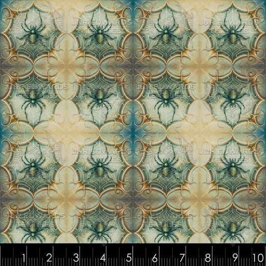 Snapshot of a Spider